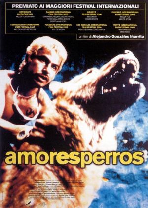 Amores perros