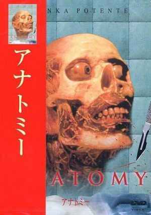 Anatomie
