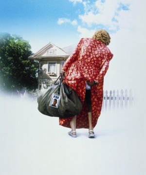 Big Momma's House