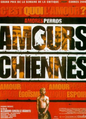 Amores perros