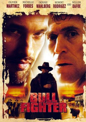 Bullfighter