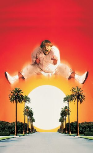 Beverly Hills Ninja