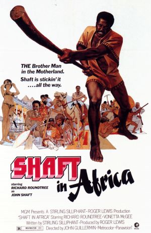 Shaft in Africa