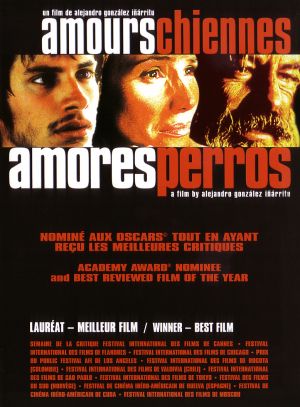 Amores perros
