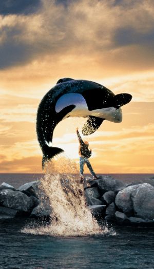 Free Willy