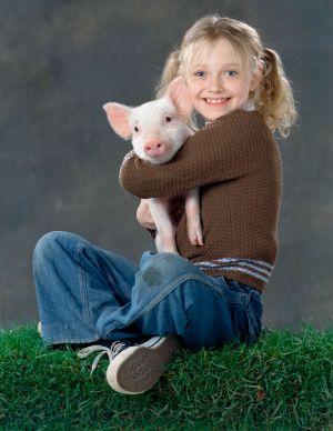 Charlotte's Web