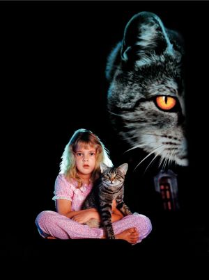 Cat's Eye
