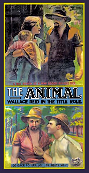 The Animal