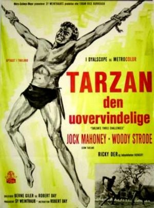 Tarzan's Three Challenges