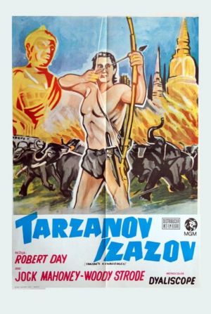 Tarzan's Three Challenges