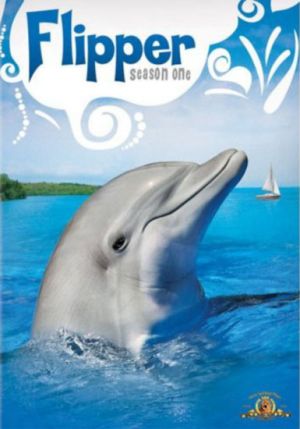 Flipper