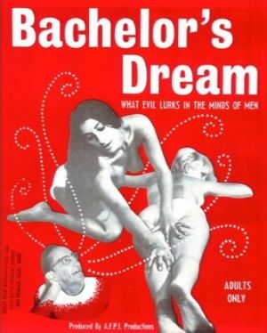 The Bachelor's Dreams