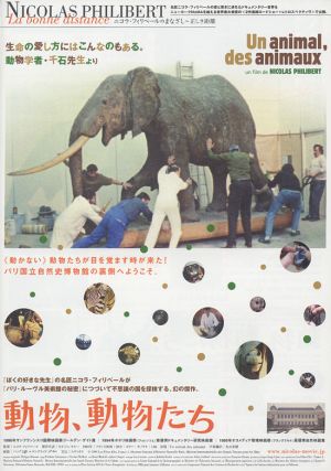 Un animal, des animaux