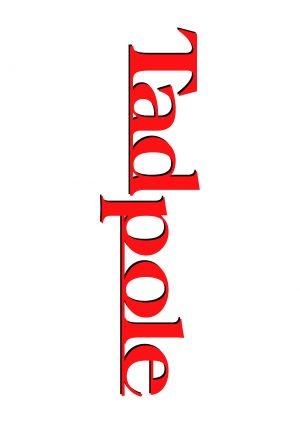 Tadpole