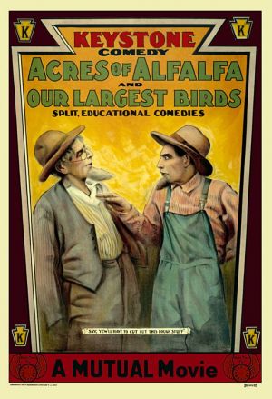 Acres of Alfalfa