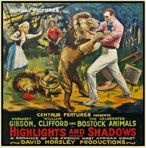 Highlights and Shadows