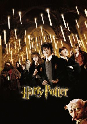 Harry Potter and the Chamber of Secrets