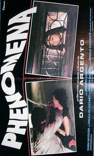 Phenomena