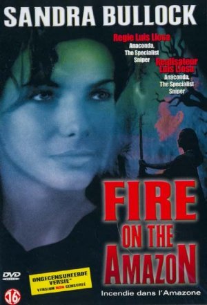 Fire on the Amazon