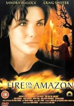 Fire on the Amazon