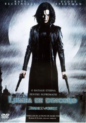 DVD