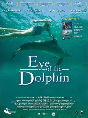 Eye of the Dolphin