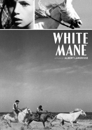 Crin blanc: Le cheval sauvage