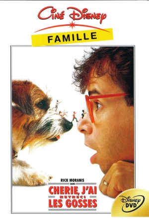 DVD