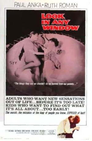 Look in Any Window