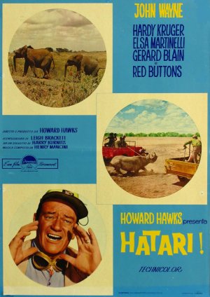 Hatari!