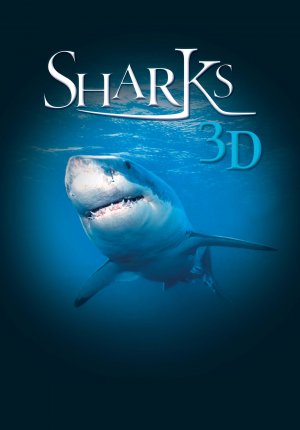 Sharks 3D