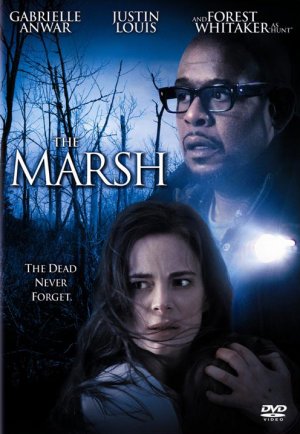 The Marsh