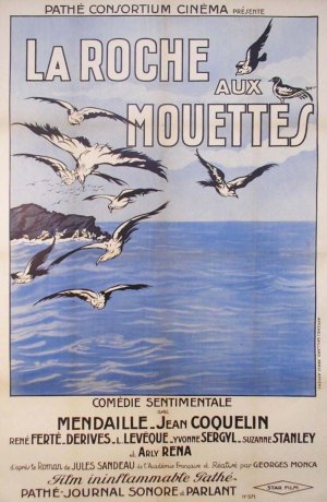 La roche aux mouettes
