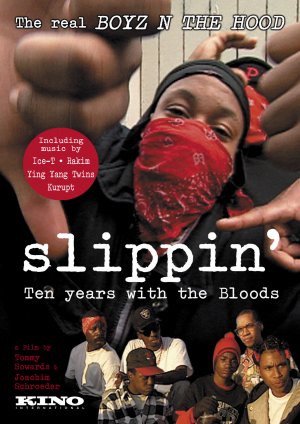 Slippin': Ten Years with the Bloods