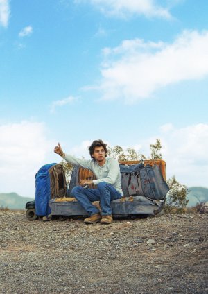 Into the Wild