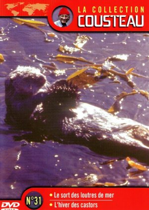 The Cousteau Odyssey