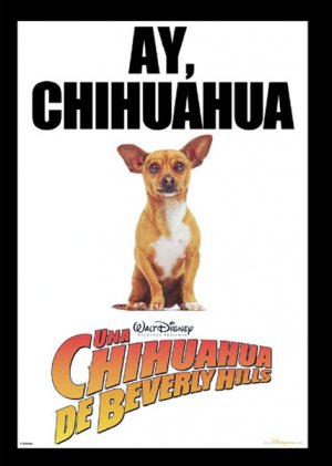 Beverly Hills Chihuahua
