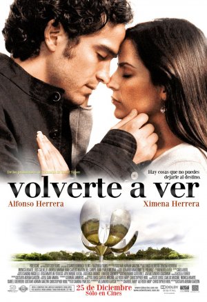 Volverte a ver
