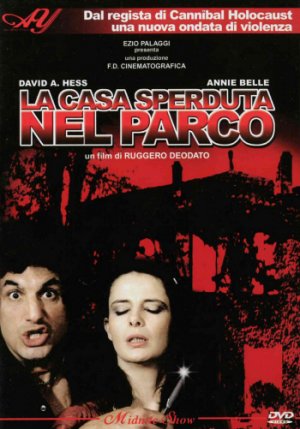 DVD