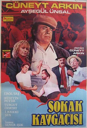 Sokak kavgacisi