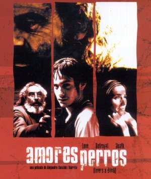 Amores perros