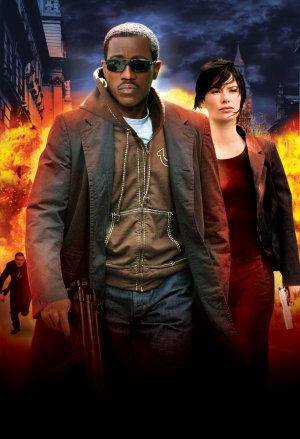 The Contractor