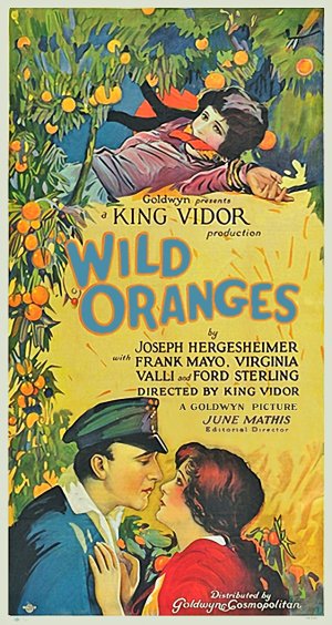 Wild Oranges