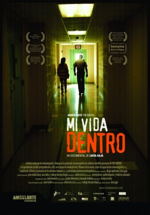 Mi vida dentro