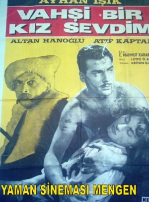 Vahsi bir kiz sevdim
