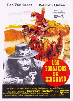 Barquero