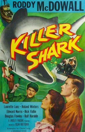 Killer Shark