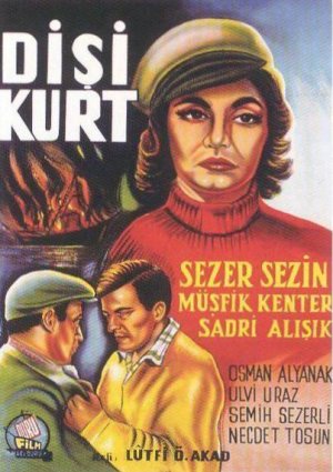 Disi kurt