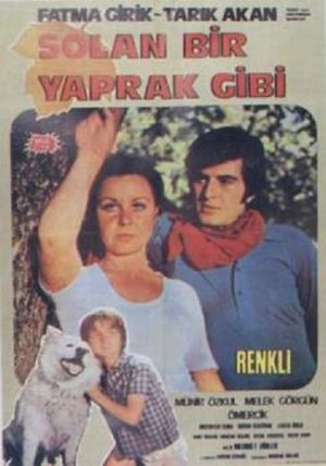 Solan bir yaprak gibi