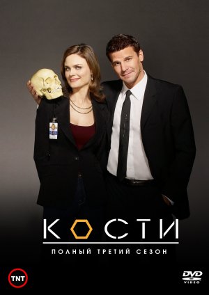 Bones